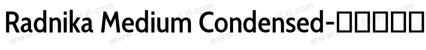 Radnika Medium Condensed字体转换